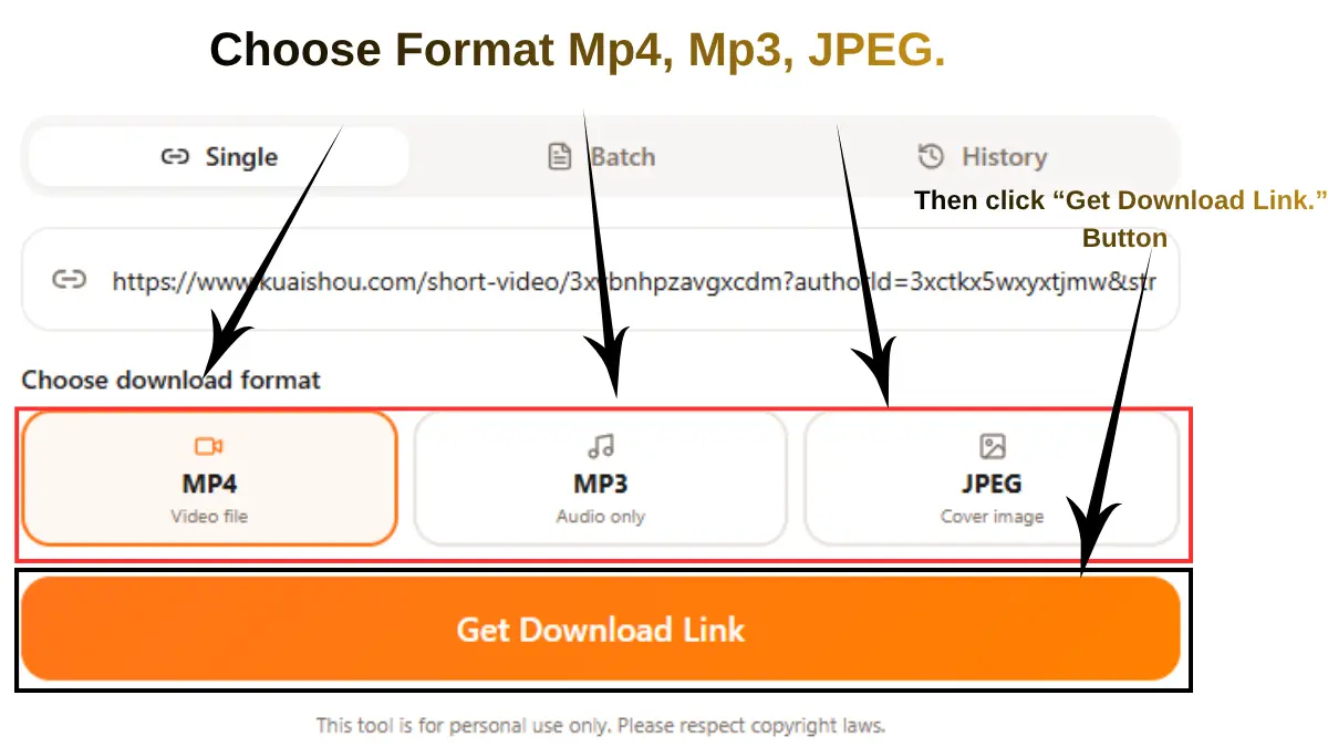 Screenshot of a video downloader interface showing options to choose download formats including MP4 for video, MP3 for audio, and JPEG for cover image. Arrows highlight each format option and the orange “Get Download Link” button below the input field containing a video URL.